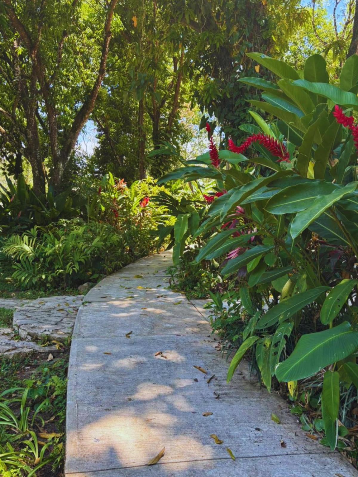 Hotel La Aldea Del Halach Huinic Palenque Luaran gambar